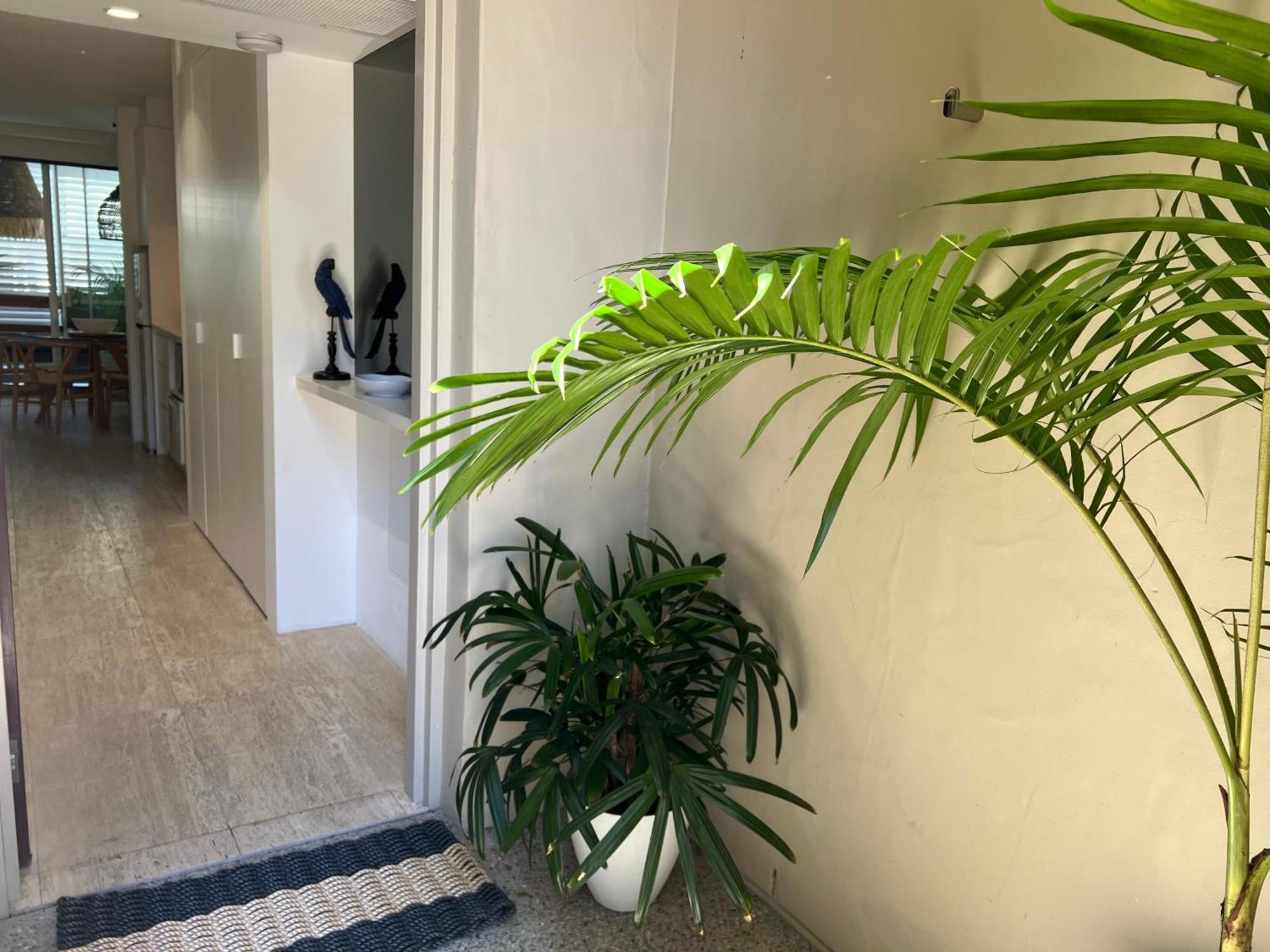 Carramah Noosa Heads Apartment Kültér fotó